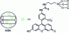 Figure 5 - Functionalization of MSNs with fluorescein isothiocyanate