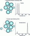 Figure 8 - Comparison of information extracted from electron microscopy and dynamic light scattering measurements on a fictitious sample of 10 particles: 5 particles of 50 nm and 5 particles of 100 nm.