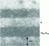Figure 10 - Section of Si/SiGeC superlattice used for thermoelectric conversion 