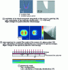 Figure 7 - Examples of optical nanosources