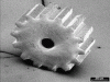 Figure 9 - Gear with its axis exposed
