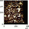 Figure 8 - Optical image of a B4C deposit on Si (100) of 400 nm at −500 V self-polarization voltage