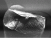 Figure 10 - Berkovich tip (doc. Hysitron)