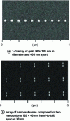 Figure 11 - Gold NP produced by electron lithography and imaged by scanning electron microscopy [58]