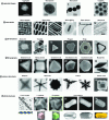 Figure 9 - Examples of gold nanoparticles of various shapes, sizes, and geometries prepared by chemical synthesis. Dimensions, growth processes, and references are listed in Table 3.