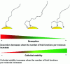 Figure 3 - Influence of the number of sulfur atoms on the desorption of thiols adsorbed on the surface of gold nanoparticles and on colloidal stability