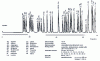 Figure 5 - Separation of a standard mixture of 17 racemate amino acids after reaction with (+)-1-(9-fluorenyl)ethylchloroformate 