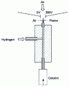 Figure 13 - Flame ionization detector
