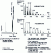 Figure 37 - Gas chromatograph/mass spectrometer coupling (electronic impact)