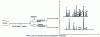 Figure 43 - Comparison of chromatograms obtained with two different detectors connected in parallel