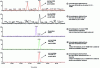 Figure 7 - GC-HRMS chromatograms of dioxins. Operating conditions: Agilent model 6890 chromatograph coupled to a Finnigan MAT 95XL mass spectrometer equipped with an electron ionization source with 60 eV ionization energy. Restek RTX-5SIL-MS column (30 m × 0.25 mm I.D.). Film thickness 0.25 μm. Splitless injection of 2 μL of extract at 275°C. Initial oven temperature 140°C for 2 min, then gradient to 270°C at 4°C · min–1 then to 300°C at 10°C · min–1. Hold at 300°C for 1 min (source: Jean-François Focant, Université de Liège, Belgium)