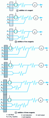 Figure 6 - Different types of manifolds