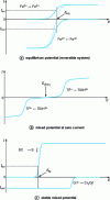 Figure 6 - Redox potentials