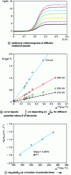 Figure 15 - Stationary voltammograms of ferrocenemethanol (0.25 mM) in aqueous NaCl solution (50 mM) on a rotating gold electrode (diameter 3 mm) [3].