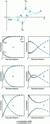 Figure 23 - Ox and Red concentration profiles at the electrode at different points in the cyclic voltammogram of a fast redox system under pure diffusion conditions (Red alone present in solution).