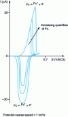 Figure 17 - Experimental cyclic voltammograms obtained at the graphite paste electrode (binder = H2SO4 2 M) after introduction of increasing amounts of ferrocene (from 17)