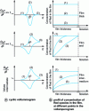 Figure 10 - Influence of the thickness of the polymer film containing the electroactive species Red on the behavior of a polymer-modified electrode (based on [6])