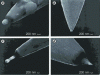 Figure 19 - SEM micrographs of submicrometer electrodes fabricated from gold wires treated by electric arc. The body of the wire is insulated by a layer of electrophoretic paint; only the tip is bare. These four images show the influence of the characteristics of the electric arc used on the shape of the resulting electrode (adapted from [42])