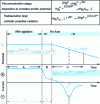 Figure 25 - Cathodic redissolution polarography reaction scheme