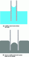 Figure 1 - Behavior of liquids in a glass tube (tube walls shown in hatched gray)