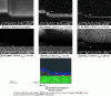 Figure 2 - Auger imaging (x, y) of the Au (200 nm)/Mo (50 nm)/GaN structure of an electronic component (128 × 128 pixels, E0 = 20 keV, = 6 nA, i = 30˚) whose slice was obtained by using a Ga+ ion beam (FIB: 30 keV, normal incidence) (according to F. Wyczisk, Thales TRT, Palaiseau) 