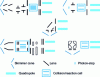 Figure 2 - Schematics of various quadrupole ion optics currently on the market