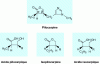 Figure 15 - Chemical structures of pilocarpine and its hydrolysis products [3].