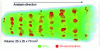 Figure 13 - Silicon nanoparticles layered in a SiO2 matrix(doc. E. Talbot, GPM)