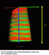 Figure 14 - Three-dimensional reconstruction of a magnetostrictive TbCO2Fe multilayer.