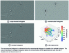 Figure 14 - Hologram processing using an inverse problem approach for evaporative droplet tracking
