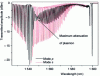Figure 14 - Orthogonal amplitude spectra for a 10°-tilted grating covered with a 50-nanometer layer of gold immersed in salt water