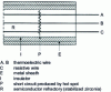 Figure 7 - Probe for locating a hot spot and determining its temperature [11] [12].