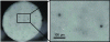 Figure 14 - Type K wires, 25 µm diameter, embedded in ceramic before metal deposition