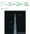 Figure 16 - Gold-nickel thermoelectric nanoprobe on micropipette (Credit Schebeil et al.)