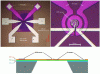 Figure 22 - Temperature probe calibration microdevice with suspended silicon nitride (SiN) membrane incorporating a 50 µm-diameter heating resistor and a 10 µm-diameter central measuring point (RTD) (Credit Nguyen et al.)