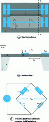 Figure 15 - Schematic representation of a membrane for in-plane thermal conductivity characterization using the 3-omega method