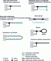 Figure 8 - Different categories of fiber optic sensors