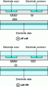 Figure 13 - Cross-section of a cell at the end of the addressing phase