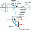 Figure 32 - Polarization converter in a minilens integrator system