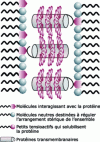 Figure 14 - Transmembrane protein film