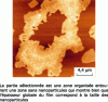 Figure 18 - AFM image of gold nanoparticles organized in a film