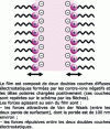 Figure 9 - Schematic diagram of a sodium dodecyl sulfate (SDS) film