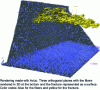 Figure 6 - Example of a 3D segmentation calculated from a 3D tomographic image of a fiber-reinforced material (Polyamide 66) containing a fracture.