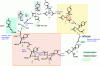 Figure 13 - Proposed catalytic cycle based on experiments and DFT calculations