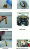 Figure 8 - Stages in the analysis of organic compounds [27] [28].