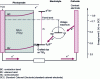 Figure 5 - Schematic diagram of a Grätzel or dye-sensitized solar cell 