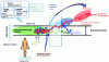 Figure 1 - Dynamics of the metabolic phenotype (adapted from Rezzi et al. [2])