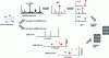 Figure 7 - Principles for building experimental MS and NMR spectral databases from pure chemical standards