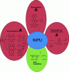 Figure 2 - Different synthesis routes for isocyanate-free polyurethanes (NIPUs) [58] [61] [62].