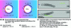 Figure 10 - Thermocapillary forces on droplets for manipulation in two-phase microfluidics